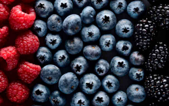 Different Types of Berries and Their Benefits for the Human Body