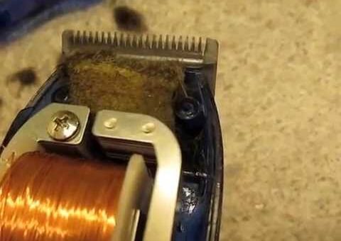 How To Fix Hair Clippers That Won’t Cut